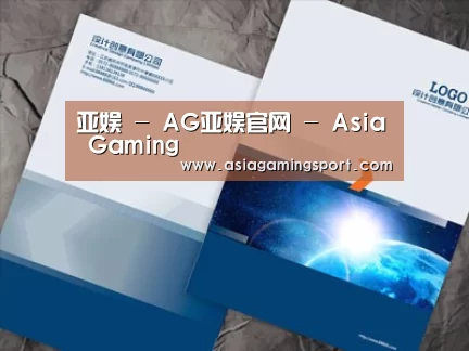 项目名称十