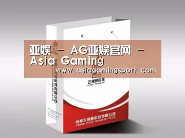 项目名称十三
