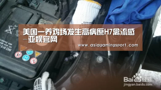 美国一养鸡场发生高病原H7禽流感-亚娱官网(图1) 亚娱官网