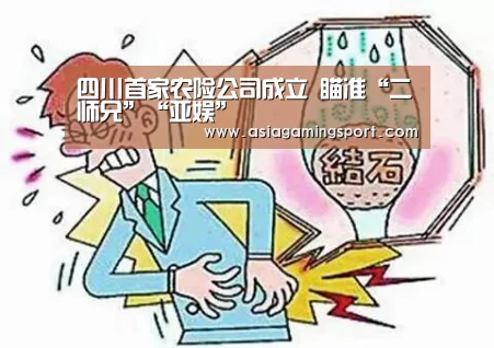 四川首家农险公司成立 瞄准“二师兄”“亚娱”(图4) 亚娱