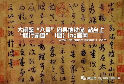 大闸蟹“入侵”因果地铁站 站台上“横行霸道”(图)|ag官网(图1) ag亚娱