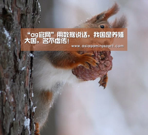 亚娱官网